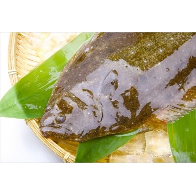 鹿児島県産!薩摩隼人ひらめ5パック(総量約470g)【MBC開発】 B-135