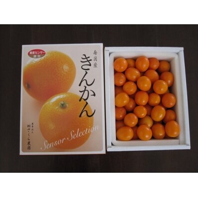 数量限定100 種の少ない霧島きんかん 約1kg さくら農園 A 085 お礼品詳細 ふるさと納税なら さとふる