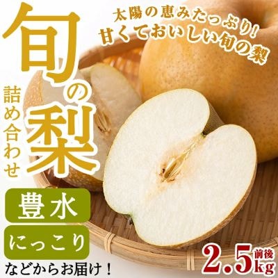 <先行受付中>梨詰め合わせ(約2.5kg前後)【さくら農園】　A-138 