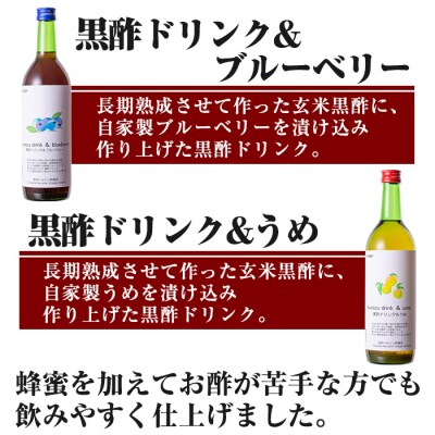 長命ヘルシン酢セット(竹)【長命ヘルシン酢醸造】C-059 　