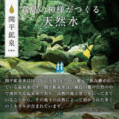 関平鉱泉水(シリカ水)ペットボトル500ml×24本!【関平鉱泉所】　A-031　
