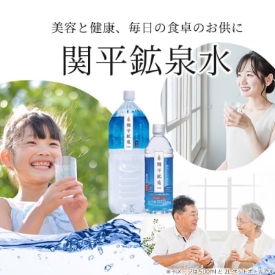 　<通常便>関平鉱泉水500mlペットボトル(計24本)【関平鉱泉所】A-031　
