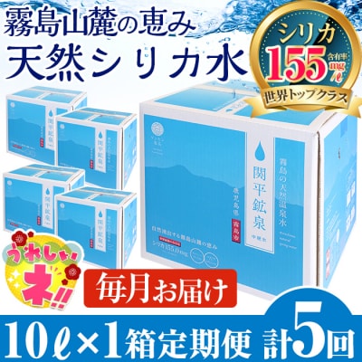 【寄附額改定】<定期便・全5回>関平鉱泉水10L×1箱ずつ　5回お届け【関平鉱泉所】　B-025 