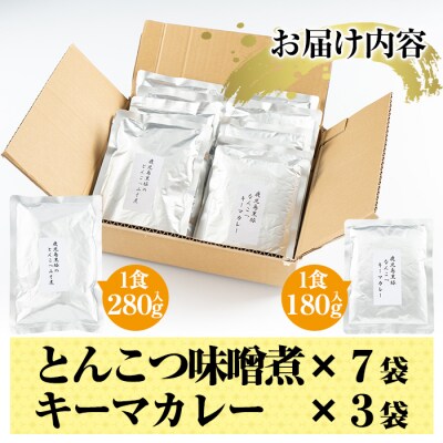 鹿児島黒豚とんこつみそ煮と鹿児島黒豚なんこつキーマカレーセット【富士食品】　C-076 