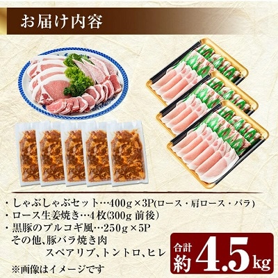 鹿児島黒豚4.5kg感謝セット【米平バークシャ】　D-057 　