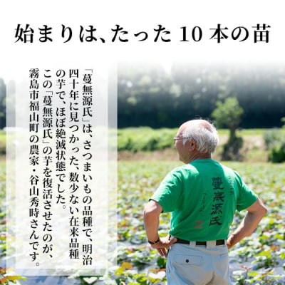 本格芋焼酎「蔓無源氏」1800ml×2本【かれがぁの焼酎屋 谷山酒店】　B-005 
