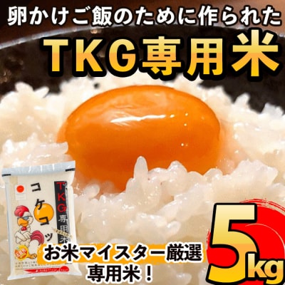 《令和7年産新米　先行受付中》コケコッコ(TKG専用米)計5kg!【山口米店】　A-153 