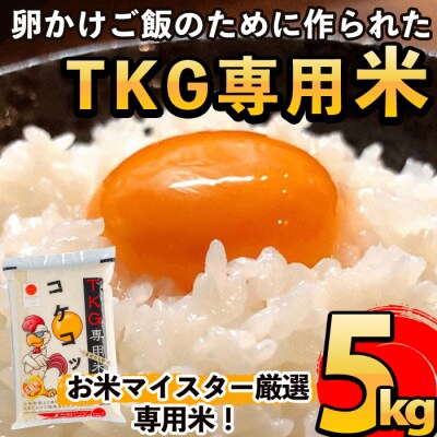 《令和7年産》コケコッコ(TKG専用米)計5kg!【山口米店】　A-153 