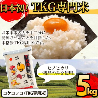 《令和7年産》コケコッコ(TKG専用米)計5kg!【山口米店】　A-153 