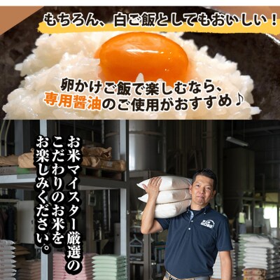 《令和7年産》コケコッコ(TKG専用米)計5kg!【山口米店】　A-153 