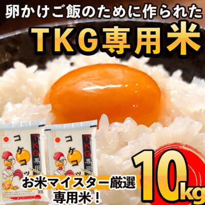 《令和7年産新米 先行受付中》コケコッコ(TKG専用米)計10kg!【山口米店】　B-108 