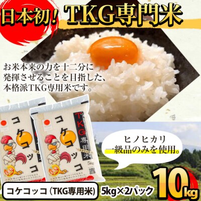 《令和7年産新米 先行受付中》コケコッコ(TKG専用米)計10kg!【山口米店】　B-108 