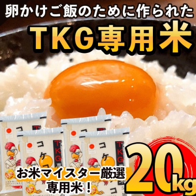  《令和7年産新米》コケコッコ(TKG専用米)計20kg!【山口米店】　D-052