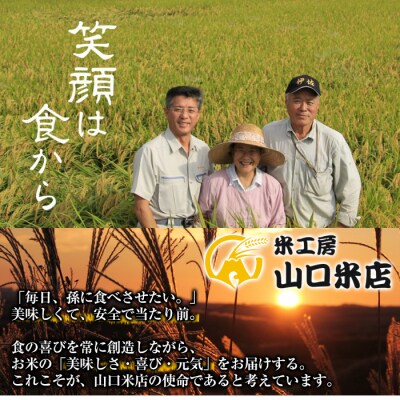  《令和7年産》コケコッコ(TKG専用米)計20kg!【山口米店】　D-052