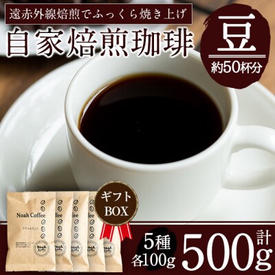 <挽かずに豆の状態でお届け>珈琲豆100g×5種詰め合わせ【ノア・コーヒー】　A-165 