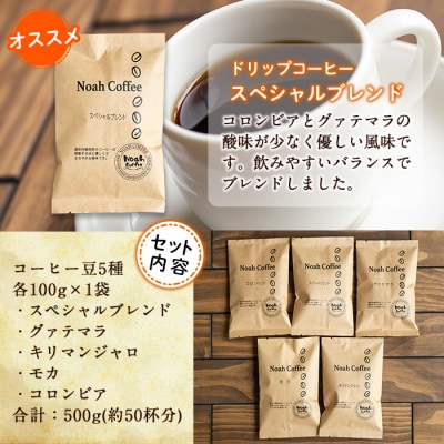 <挽かずに豆の状態でお届け>珈琲豆100g×5種詰め合わせ【ノア・コーヒー】　A-165 