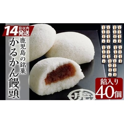 <年内発送>銘菓かるかん饅頭(餡入り)(8個入り×5箱 計40個)【徳重製菓とらや】B-134 