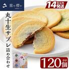 丸十生サブレ詰め合わせ(12枚入×10箱 計120枚)【徳重製菓とらや】　C-086 