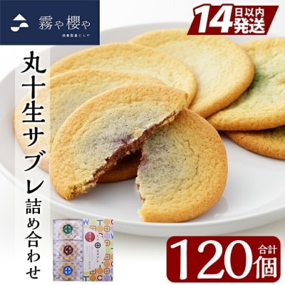 丸十生サブレ詰め合わせ(12枚入×10箱 計120枚)【徳重製菓とらや】　C-086 