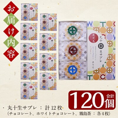 丸十生サブレ詰め合わせ(12枚入×10箱 計120枚)【徳重製菓とらや】　C-086 