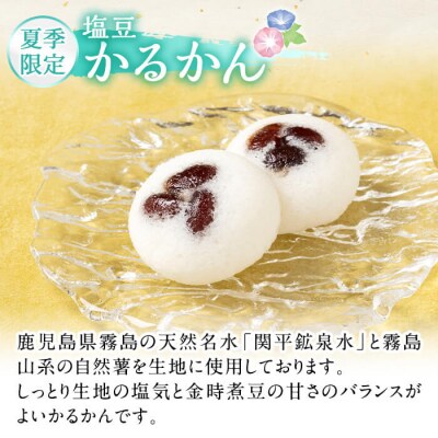  <先行受付中>極上元かるかんと季節のかるかんセット(夏)計15個【徳重製菓とらや】A0-241