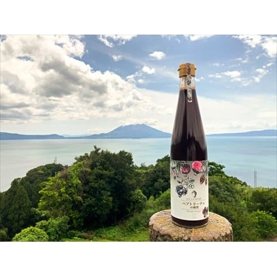 ビューティービネガー!ベアトリーチェの秘蜜(500ml×1本)【重久盛一酢醸造場】　B0-165 