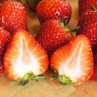 ビューティービネガー!ベアトリーチェの秘蜜(500ml×1本)【重久盛一酢醸造場】　B0-165 