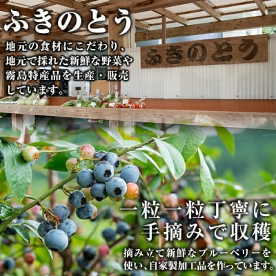 霧島市産ブルーベリー1.2kg(冷凍)【霧島農産加エグループふきのとう】A-050