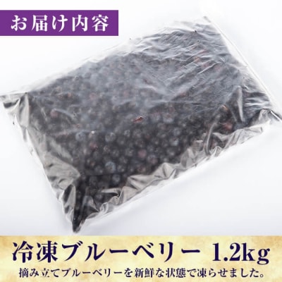 霧島市産ブルーベリー1.2kg(冷凍)【霧島農産加エグループふきのとう】A-050