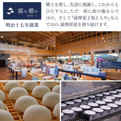 鹿児島のスイーツタルト・タルトじゃっど(各8個入×2箱・計16個)【徳重製菓とらや】　A0-252 