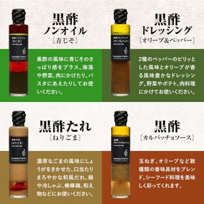 Kurozu Farm ドレッシングと調味料セット(計4本)【坂元のくろず】　A1-007 