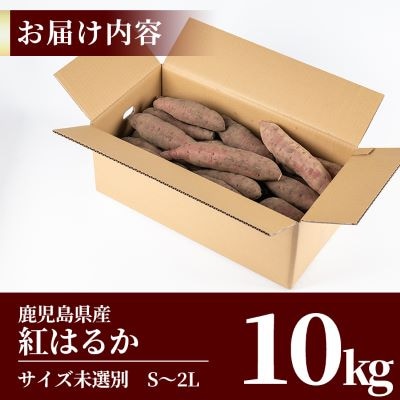 <先行受付中>鹿児島県産<紅はるか>土付き(10kg)【フレッシュジャパン鹿児島】　A2-012