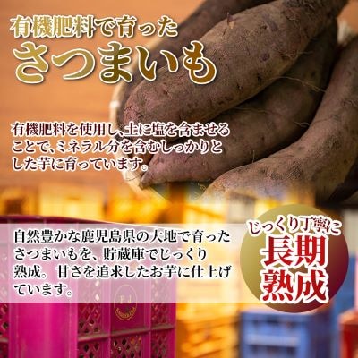 <先行受付中>鹿児島県産<紅はるか>土付き(10kg)【フレッシュジャパン鹿児島】　A2-012