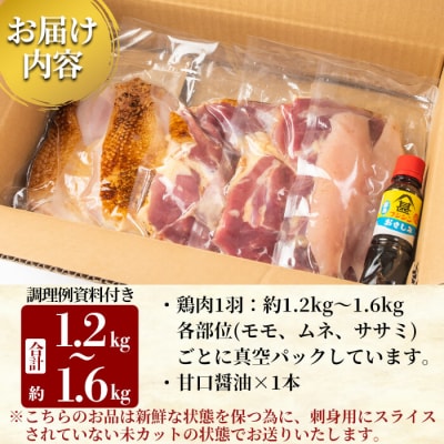 国産!高原鶏 鶏刺し一羽セット(約1.2～1.6kg・未カット)【ワタセ食鳥】A0-278 