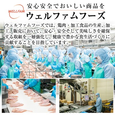 九州産!若どり冷凍もも切身(400g×6袋・計2.4kg)【ウェルファムフーズ】　A0-271