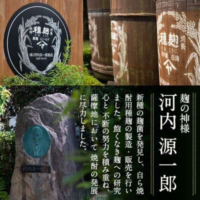 国産!霧島高原ビール6本セット(ブロンド3本、ガーネット3本)【河内菌本舗】　A3-006 