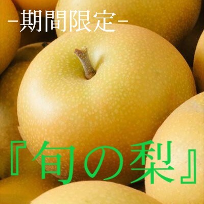 <期間限定>霧島の旬の梨(約3kg・1種類)【岩元農園】　A0-266 