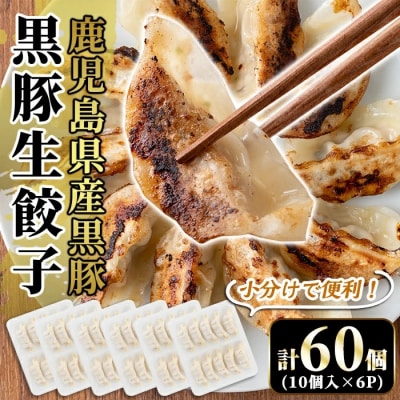 国産!鹿児島県産黒豚餃子60個(10個入×6P)【肉の豊楽】　A3-008