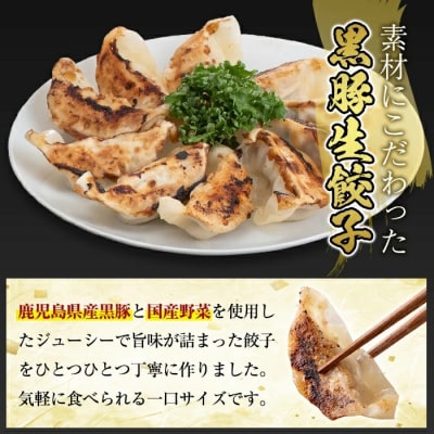 国産!鹿児島県産黒豚餃子60個(10個入×6P)【肉の豊楽】　A3-008