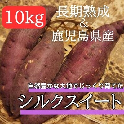 <先行受付>鹿児島県産<シルクスイート>土付き(10kg)【フレッシュジャパン鹿児島】　A2-028