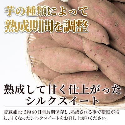 鹿児島県産<シルクスイート>土付き(10kg)【フレッシュジャパン鹿児島】A2-028