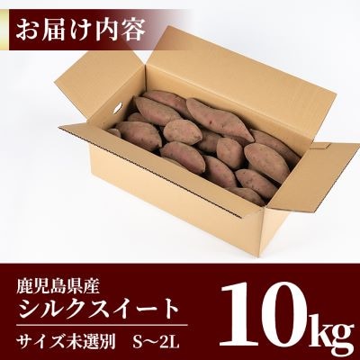 〈先行受付中〉鹿児島県産<シルクスイート>土付き(10kg)【フレッシュジャパン鹿児島】A2-028
