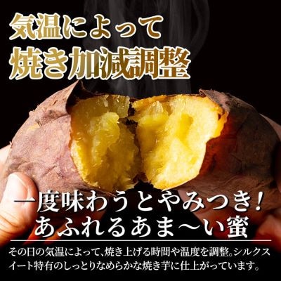 <先行受付中>あま蜜完熟焼き芋<シルクスイート>2kg【フレッシュジャパン鹿児島】　A0-338 