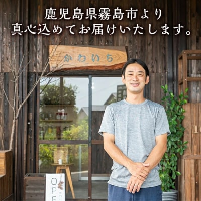 錦江湾の自然塩をまぶした塩バナナチップス(合計約1.1kg)【かわいち国分】A0-251