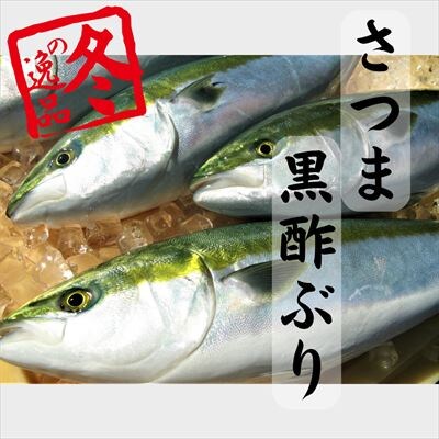 さつま黒酢ぶり(下処理なし・一尾 約5kg)【かごジン】　F0-009 