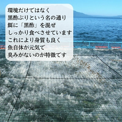 さつま黒酢ぶり(下処理なし・一尾 約5kg)【かごジン】　F0-009 