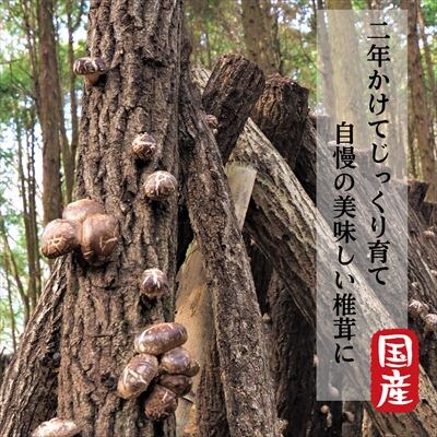  特選!どんこ椎茸(100g×3個) 【かごジン】　A8-015