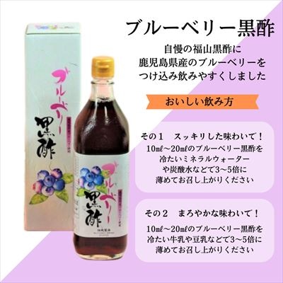 黒酢ドリンク(桃黒酢・ブルーベリー黒酢(各700ml))【かごジン】　B2-017 