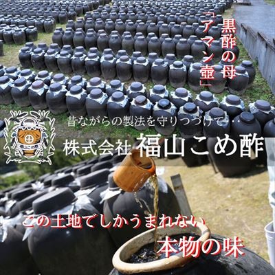  黒酢ドリンク(ブルーベリー黒酢(700ml×2本))【かごジン】　B2-018