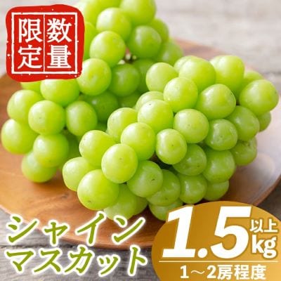 <先行受付中>シャインマスカット(約1.5kg以上)【さくら農園】B0-206